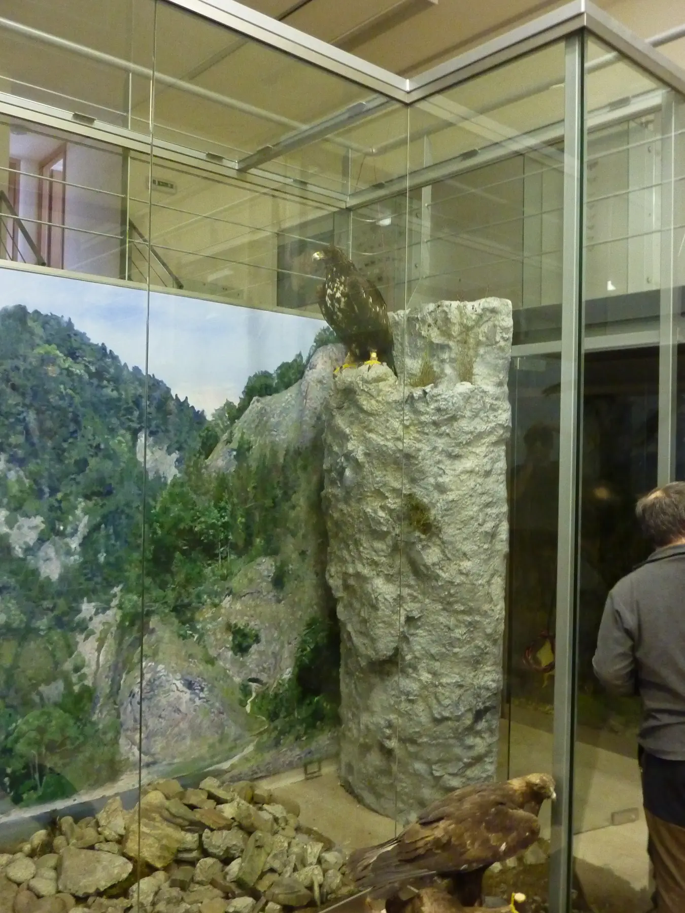 Expozícia s umelou skalou a maľovaným pozadím